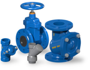 Ball check valve and gate valve